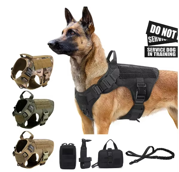 Camo Nylon Harness & Leash Set