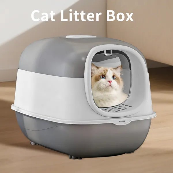 Litter Box with Lid